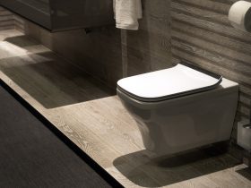 Modern Toilet