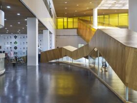 Soyoo Joyful Growth Center 11