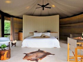 Naked Stables A Contemporary Crossover Between African Nature Reserves And Rural Chinese Elements 2