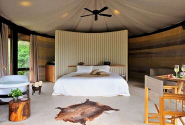 Naked Stables A Contemporary Crossover Between African Nature Reserves And Rural Chinese Elements 2