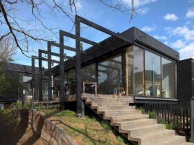 A Black Wood Extension For A Victorian House In Melbourne 10