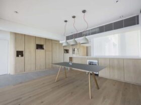 Cabinet Of Curiosities Turning A Dark Cellular Layout Into Open Light Filled Living Place 2