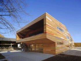 De Kleine Kikker A Playful And Joyful Day Care Center In Utrecht 4
