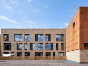 Olga Primary School Envision Garden Oasis In The Heart Of London 6