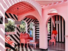 The Pink Zebra The Reflection Of British Culture In Kanpur 6