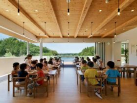 Ty Nursery A Nursery Facility Surrounded By Rich Natural Environment 3