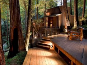 Creek View 11