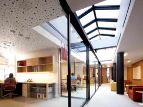 New York University Department Of Linguistics 2