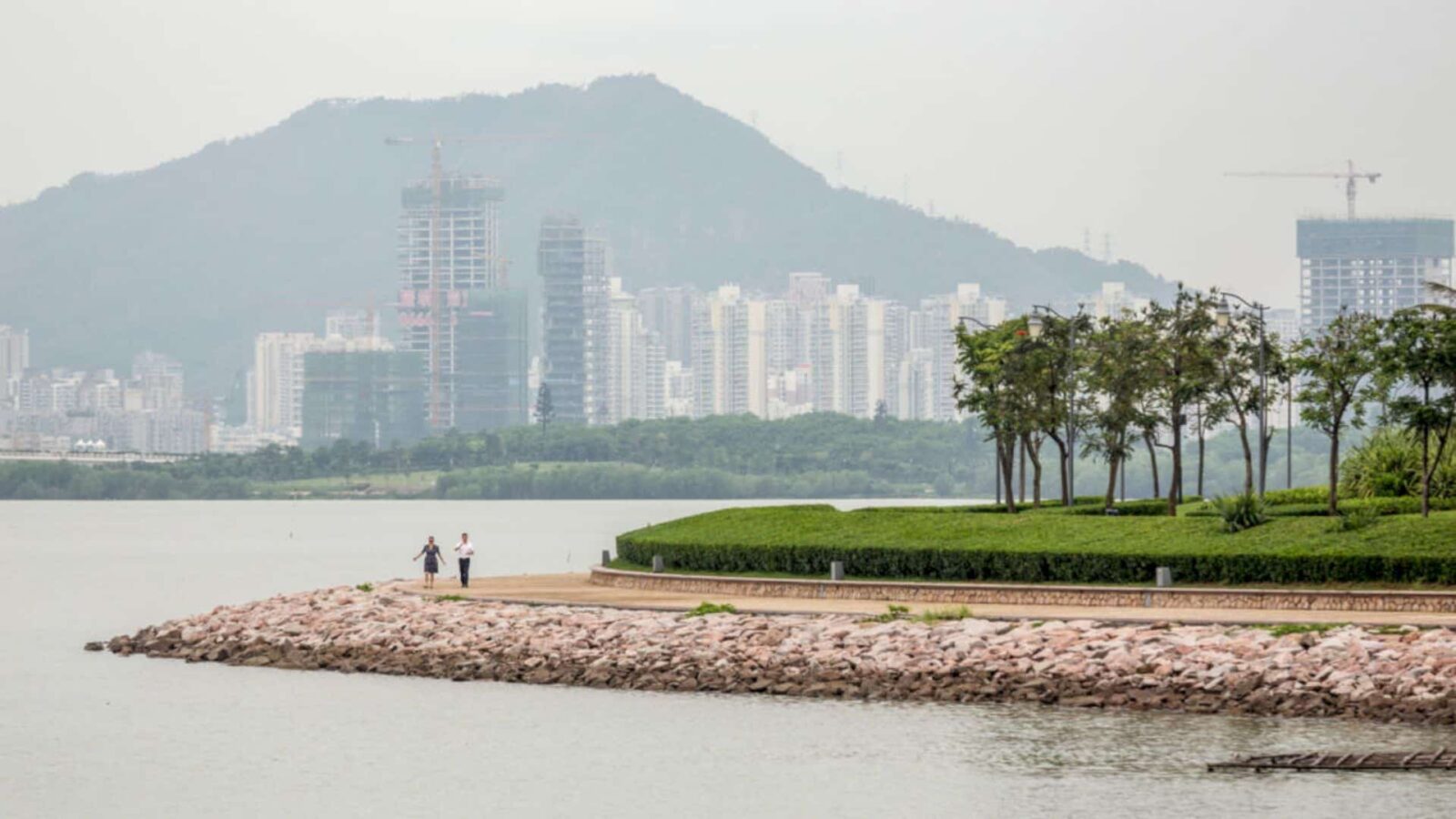 Shenzhen Bay 4