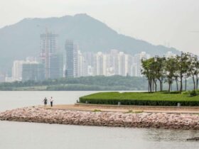 Shenzhen Bay 4