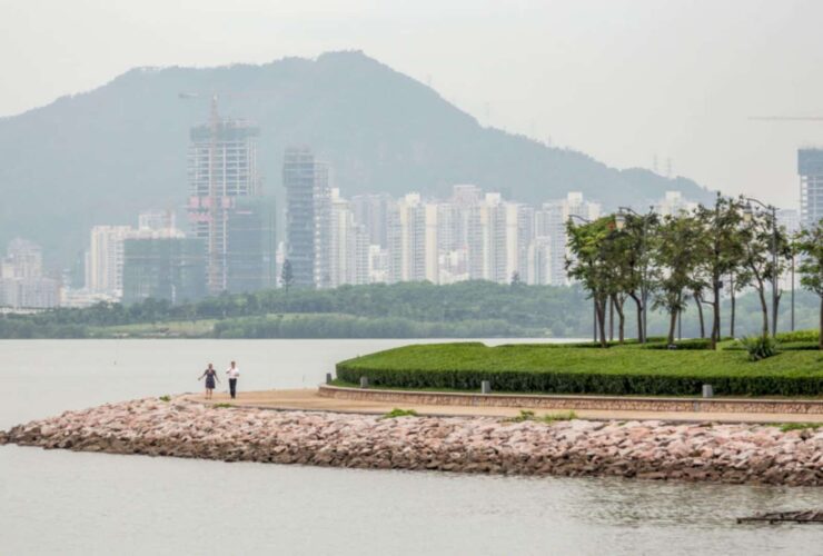 Shenzhen Bay 4