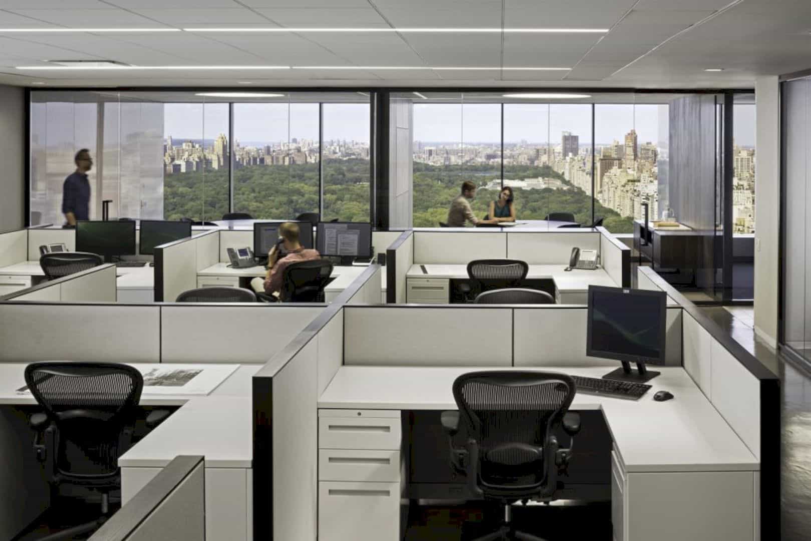 Central Park Office The Office Renovation Project To Increase Natural Light Exposure And Park Views 3