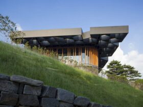 Taekwang Country Club Café A Café That Responses To Korean Landscape And Vegetation 5