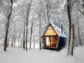 Trailer Equivalent 2 A Low Cost Micro Home Constructed From Wasted Materials And Unseasoned Timber 11