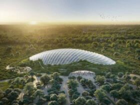 Tropicalia The Worlds Largest Single Domed Tropical Greenhouse In Northeren France 6