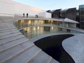 Tree Art Museum 10