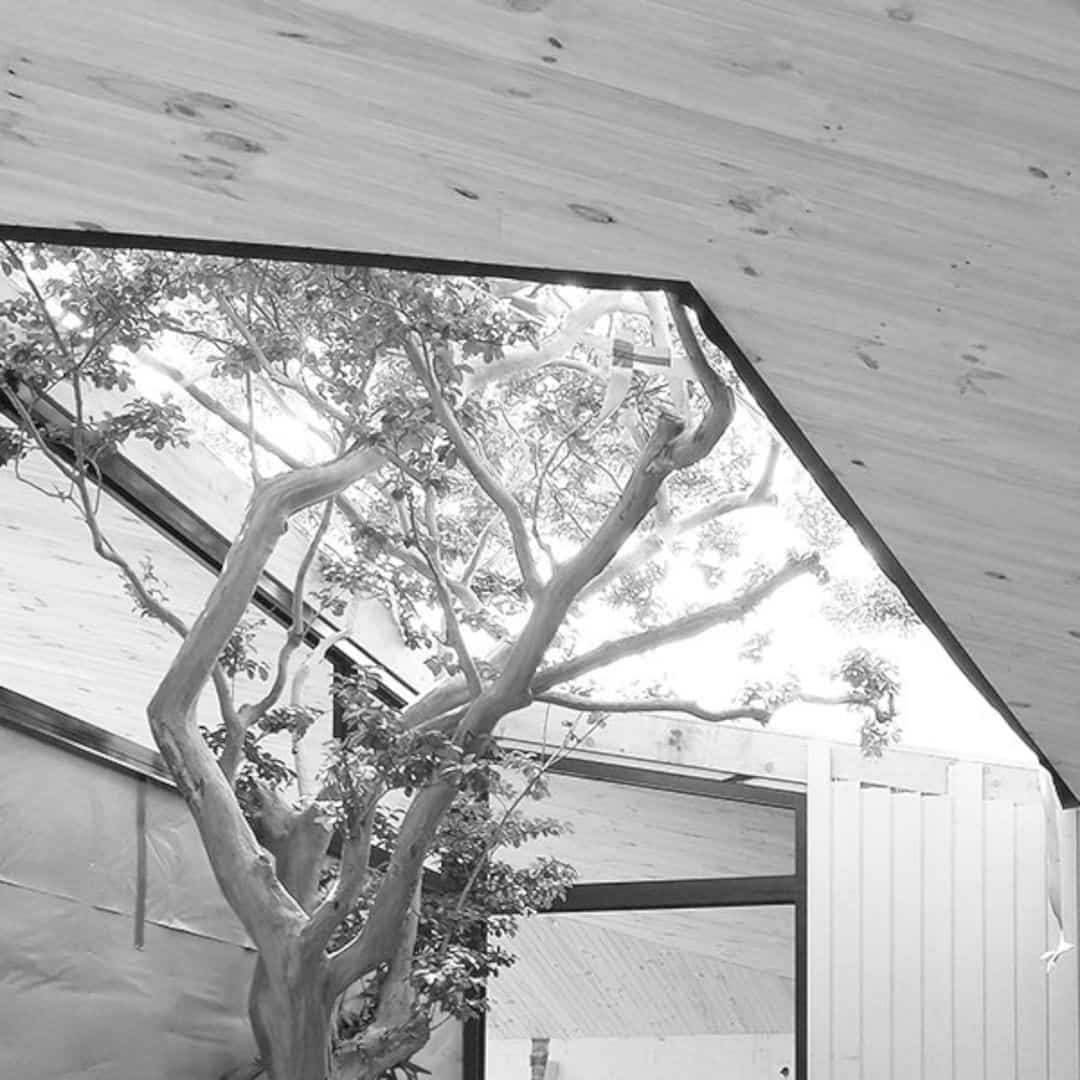 Myrtle Tree House A California Bungalow That Takes Advantage Of Two Existing Trees 3