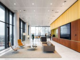 Cms Amsterdam A Warm Natural Base Office Design Merged With Curves And Transparency 1