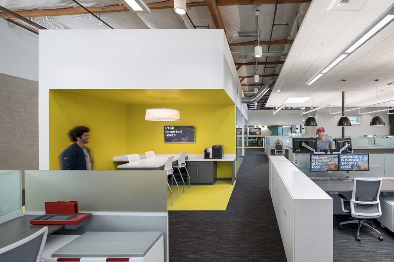 Redtail Technology A Dog Friendly Work Environment Oozing Playful Nature And Edgy Sophistication 6