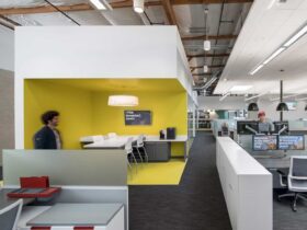 Redtail Technology A Dog Friendly Work Environment Oozing Playful Nature And Edgy Sophistication 6