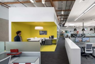Redtail Technology A Dog Friendly Work Environment Oozing Playful Nature And Edgy Sophistication 6