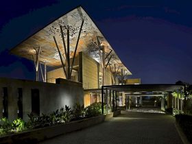 Tree House 16