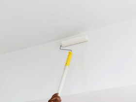 Home Improvement Fall
