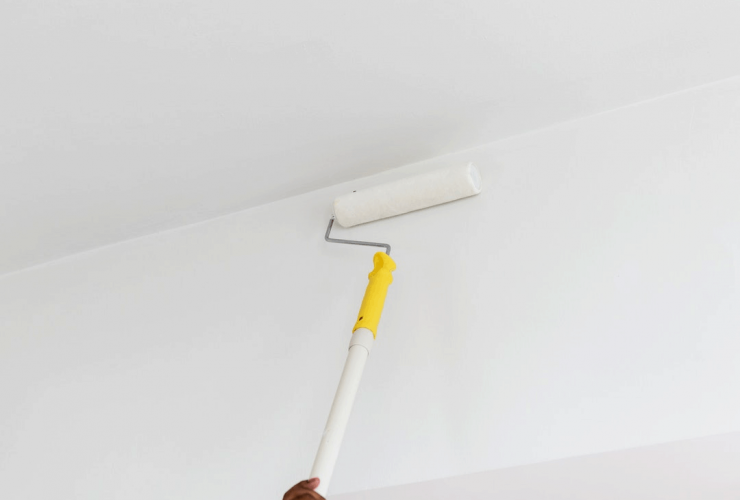 Home Improvement Fall