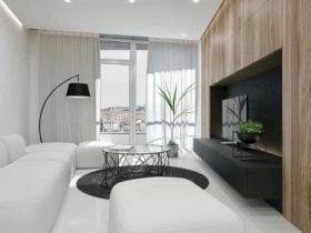 Elegant Apartment 11