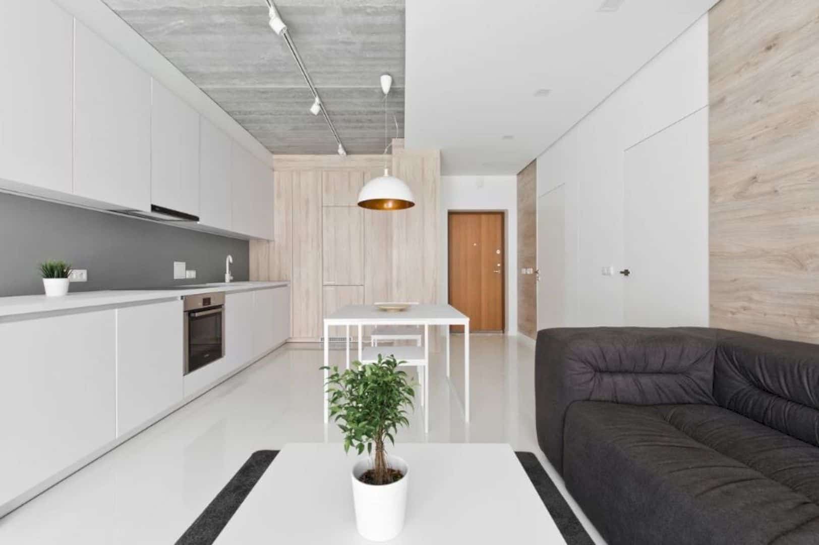 Minimalist Apartment 2