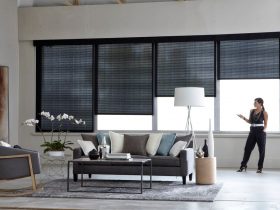Smart Window Shades 2