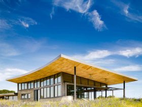 Caterpillar House 4
