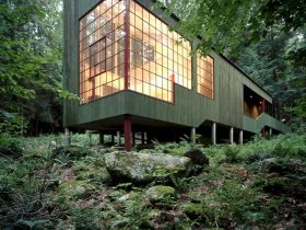 Forest House 2