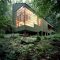 Forest House 2