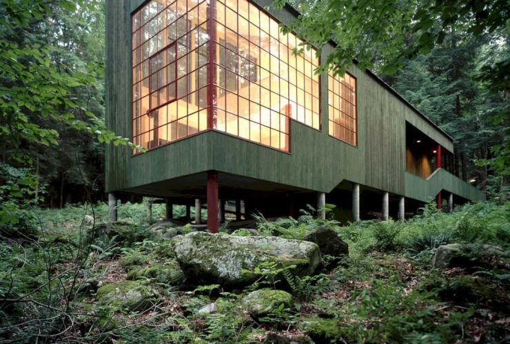 Forest House 2