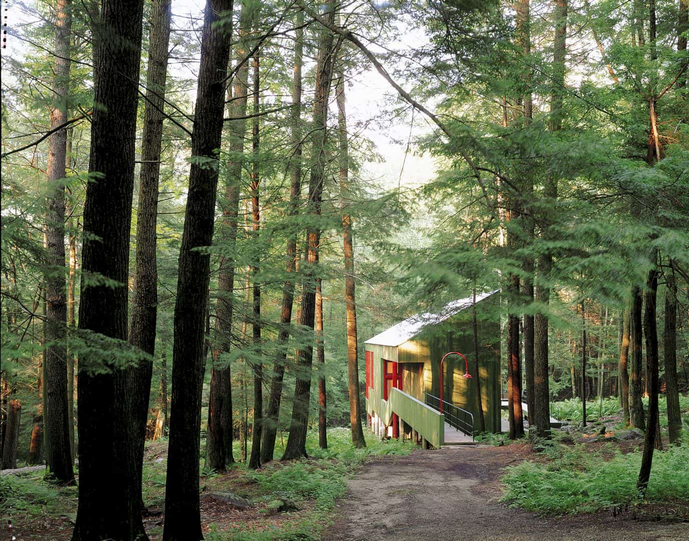Forest House 4