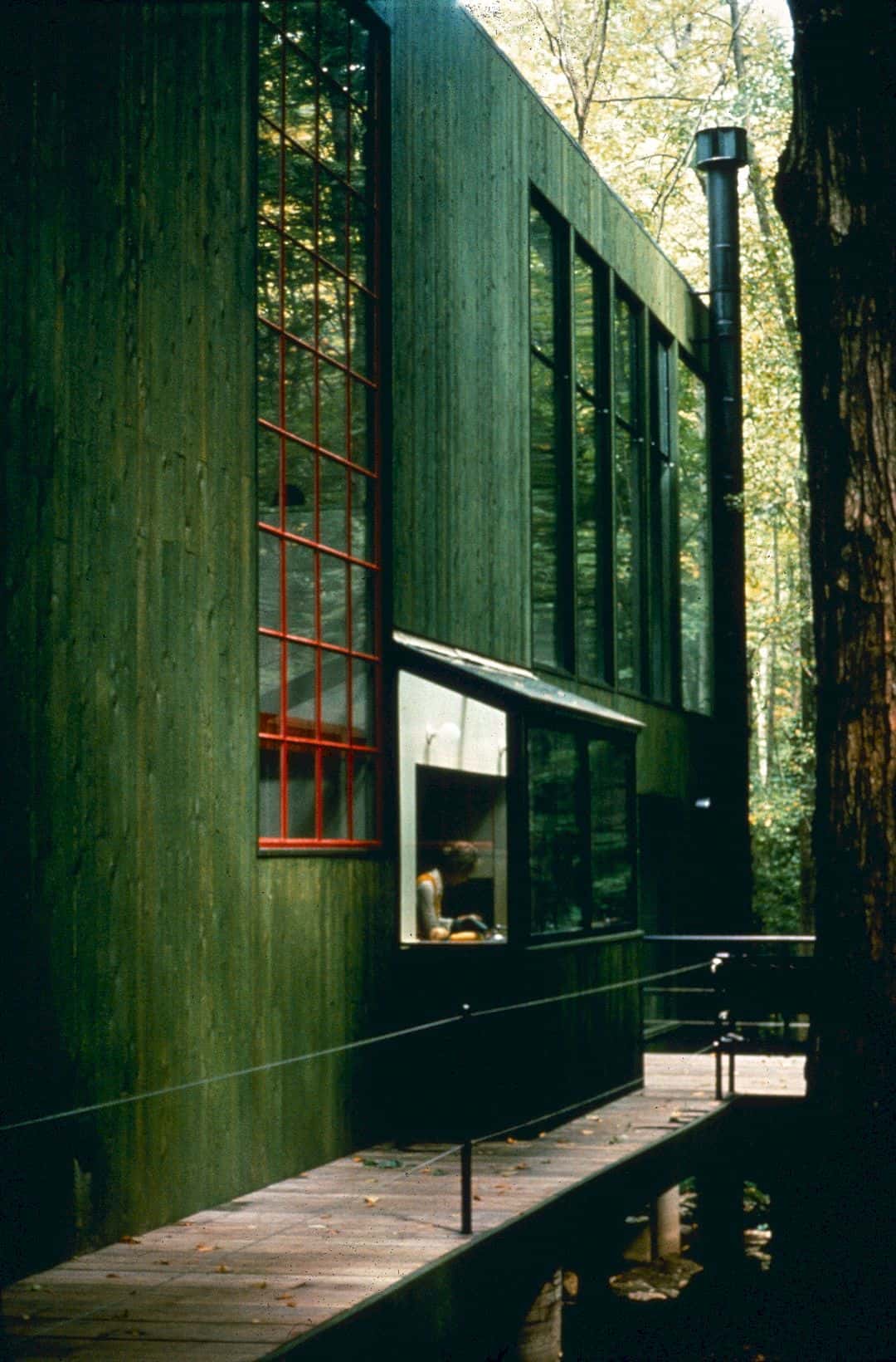 Forest House 6