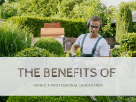 The Benefits Of