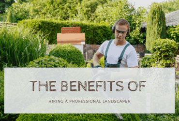 The Benefits Of