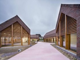 Gonzague Saint Bris Social And Cultural Center 13