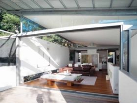 Tree House 3