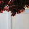 Flowering Plum Tree 895532 1280