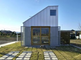 Dog Salon In Oita 13
