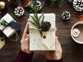 Domestic Christmas