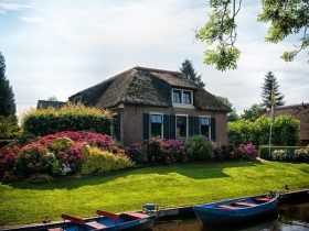 Lawn Maintenance