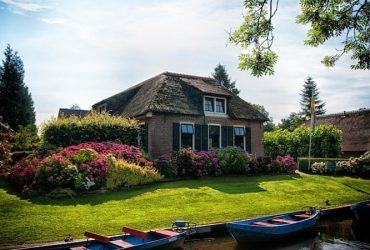 Lawn Maintenance
