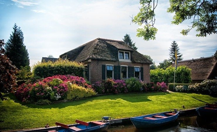 Lawn Maintenance
