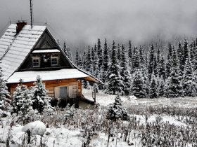Winter 997781 1280