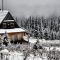 Winter 997781 1280