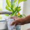 Filtered Water